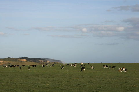 Port Campbell - Attractions 2