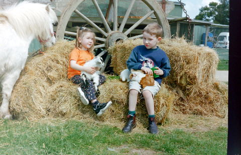 Rain Hayne And Shine Farmyard - Attractions 0