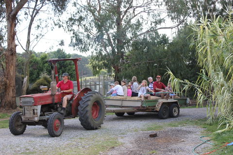 Rain Hayne And Shine Farmyard - Attractions 1