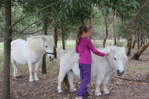 Rain Hayne And Shine Farmyard - Attractions 2