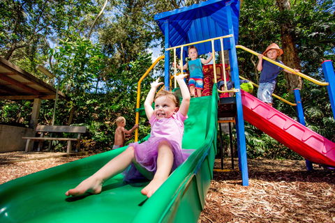 Reflections Boambee Creek Reserve - Attractions 1