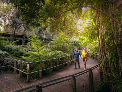 Roma Street Parkland - Attractions 2