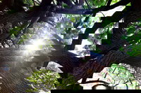 Scarborough Beach Park