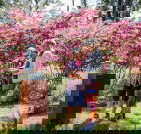 Sculpture at Petana - Attractions