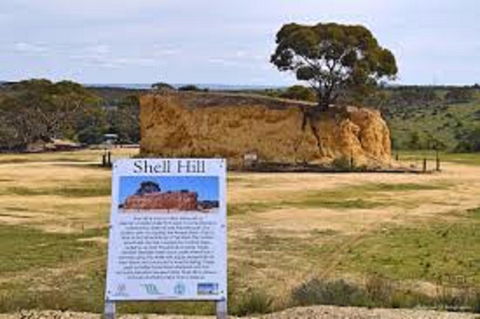 Shell Hill Reserve - Attractions 0