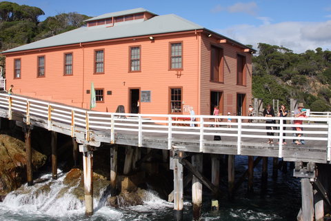 Tathra Beach - See Attractions 2