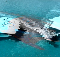 The YOT Club - See Attractions