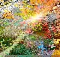 The Blue Mountains Botanic Garden Mount Tomah - Attractions
