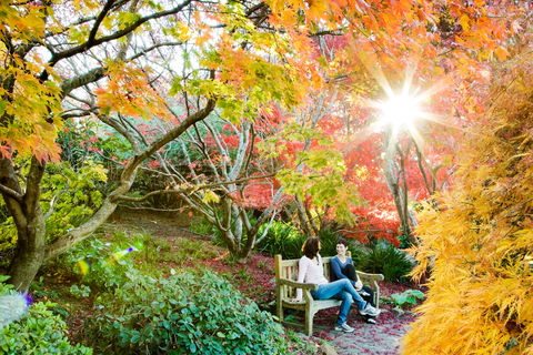 The Blue Mountains Botanic Garden, Mount Tomah - Attractions 0
