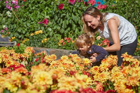 The Blue Mountains Botanic Garden, Mount Tomah - Attractions 1