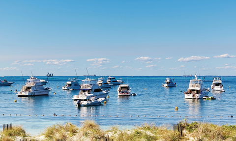 Thomson Bay - Attractions 2