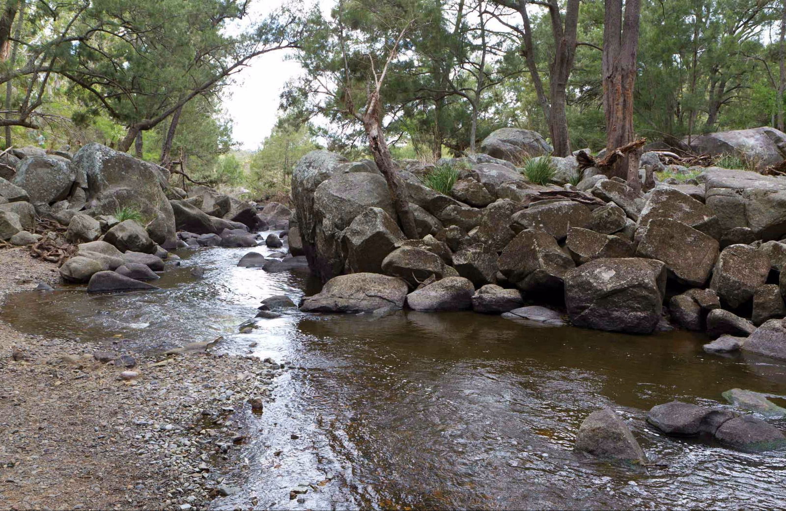 Castle Doyle NSW Attractions