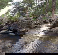 Threlfall Walking Track - Attractions