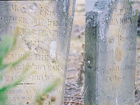 Towrang Stockade - Attractions 1
