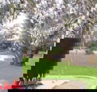 Trangie Big Billy - Attractions