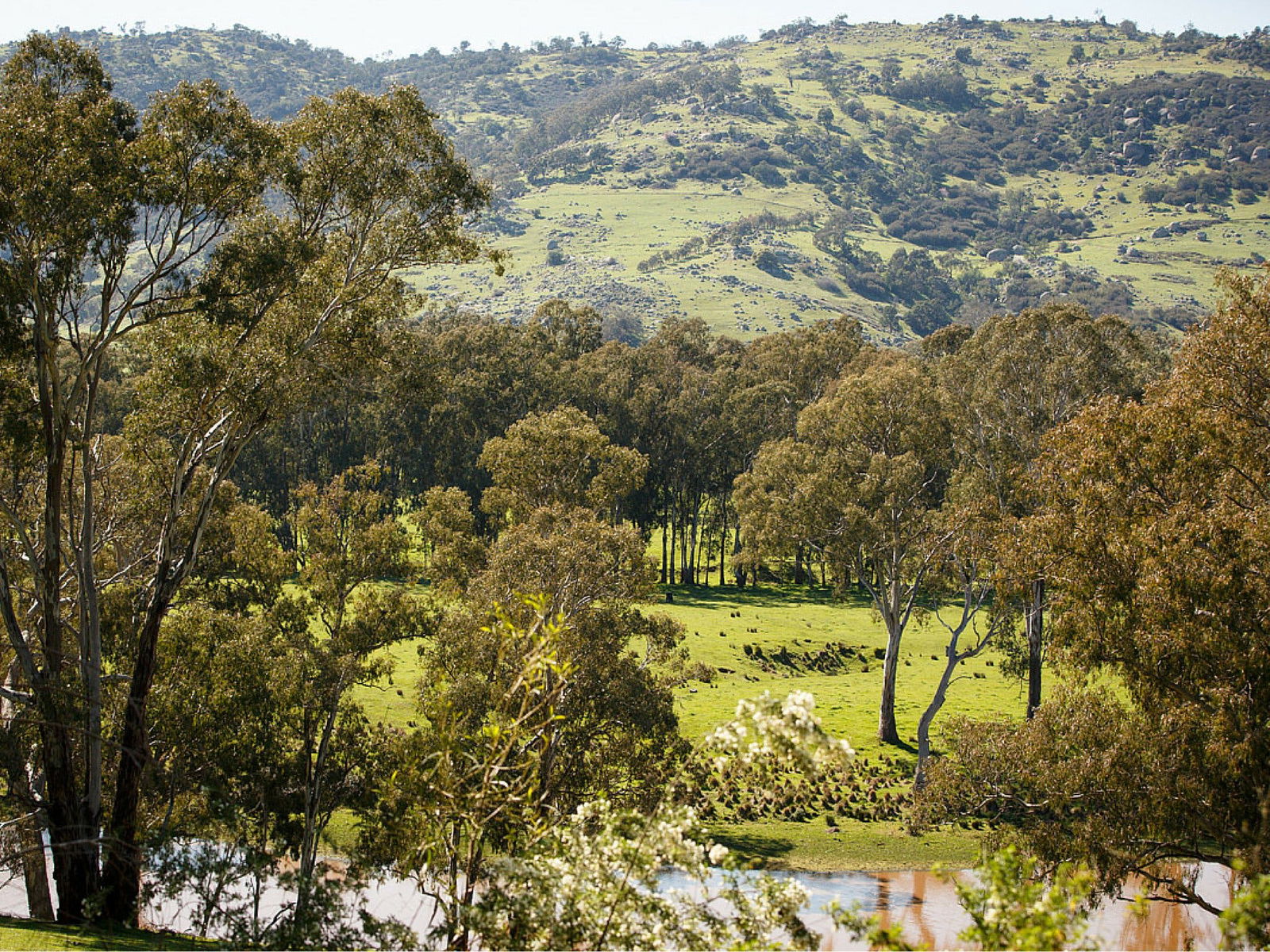 Trawool VIC Attractions