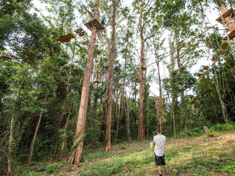 TreeTop Challenge - Sunshine Coast - Attractions 1