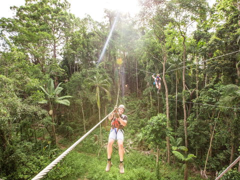TreeTop Challenge - Sunshine Coast - Attractions 2
