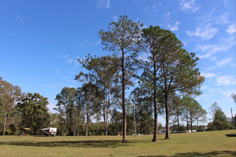 Tully Memorial Park - Attractions 2