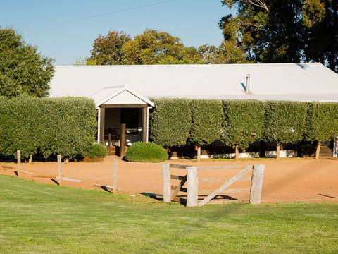 Vasse Virgin - Attractions Las Vegas 1