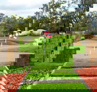 Vines Mini Golf - Attractions