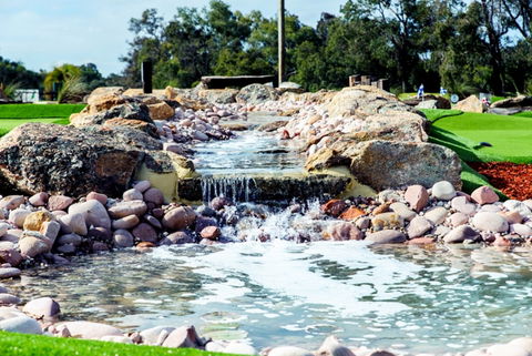Vines Mini Golf - Attractions 2