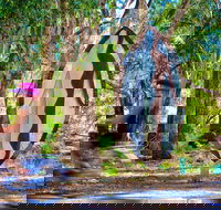 Wagirra Trail and Yindyamarra Sculpture Walk - Attractions