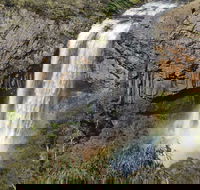 Waterfall Way Scenic Drive - Attractions