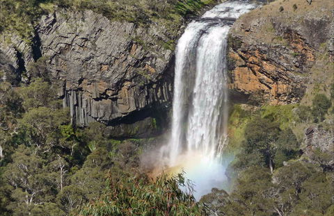 Waterfall Way Scenic Drive - Attractions 0