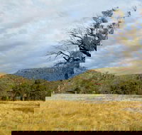 Weddin Mountains National Park - Attractions