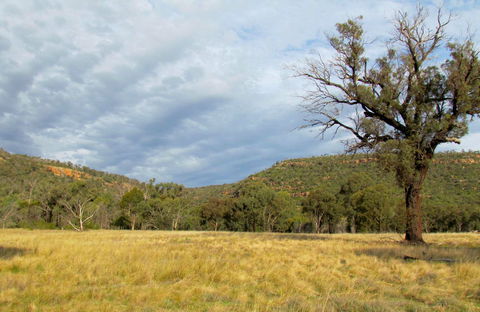 Weddin Mountains National Park - Attractions 0
