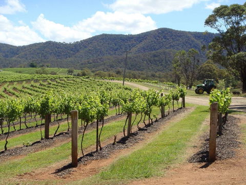 Wollombi - Attractions 1
