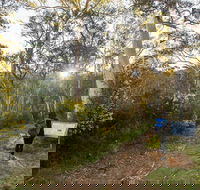 Yarrangobilly Caves  River walk - Attractions