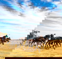 7 Day Outback Giants - Attractions