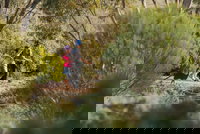 Australian Arid Lands Botanic Garden