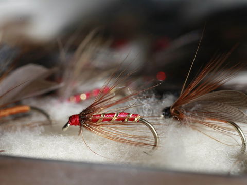 Australian Fly Fishing Museum - Attractions 0