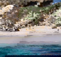 Australian Sea Lions - Attractions