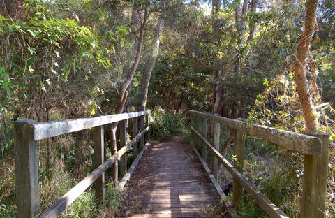 Awaba Bay Foreshore Walk - Attractions 0