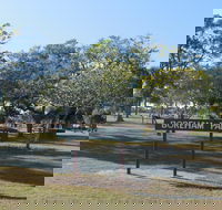 Boreham Park and Playground - Attractions