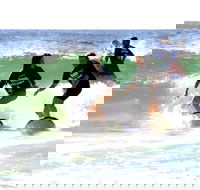 Broadbeach Surf School - Attractions