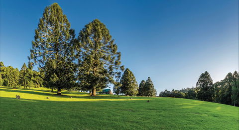 Bunya Mountains National Park - Attractions 0