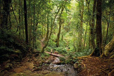 Bunya Mountains National Park - Attractions 1