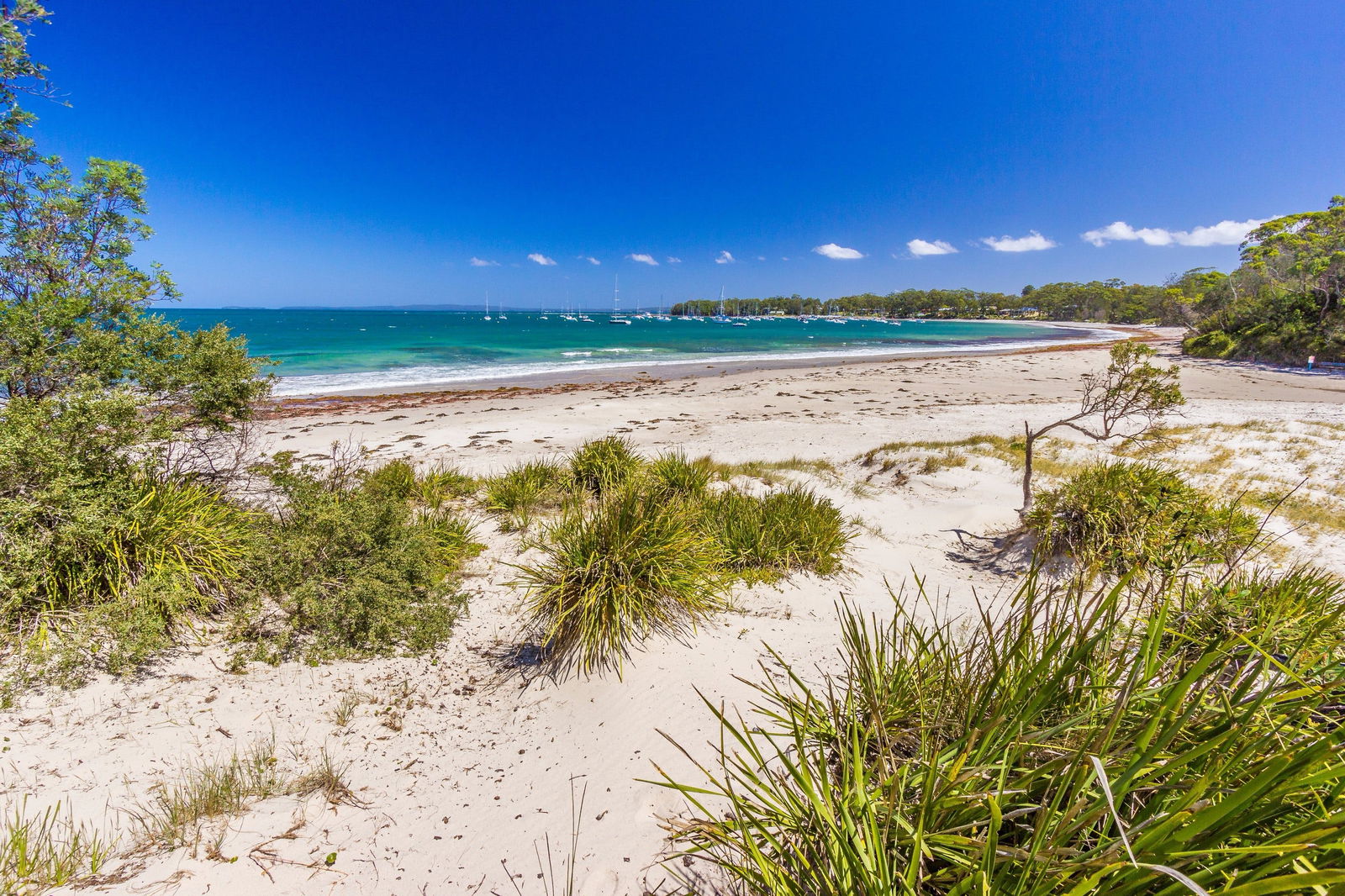 Callala Bay NSW Attractions