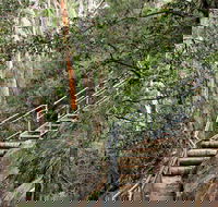 Caleys Lookout Track - Attractions