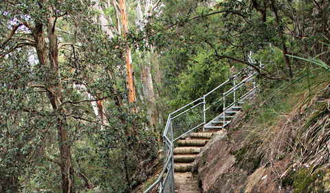 Caleys Lookout Track - Attractions 0