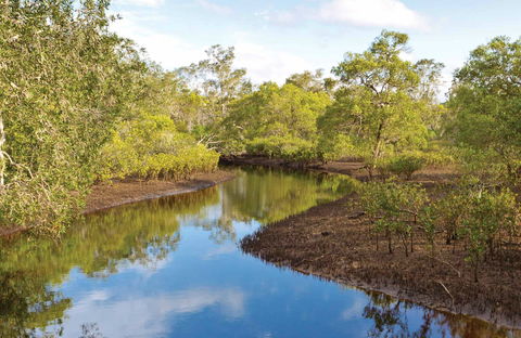 Canoe Evans River Paddle Route - Attractions 0