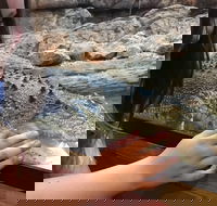 Canberra Reptile Zoo - Attractions