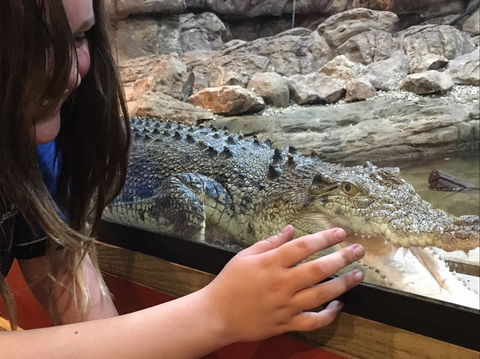 Canberra Reptile Zoo - Attractions 0