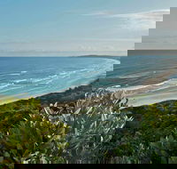 Cape Byron State Conservation Area - Attractions