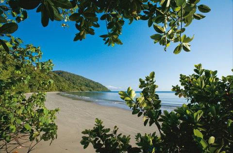 Cape Tribulation, Daintree National Park - Attractions 1